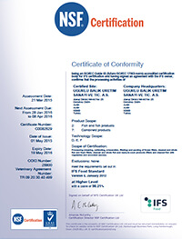 C0082629 IFS Certificate