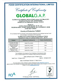 GLOBAL GAP COC Certificate