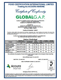 GOKCESU GOKCE SU GGIFAV4 JUNE2016 6734 Certificate