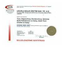 OHSAS18001 TR ENG Certificate